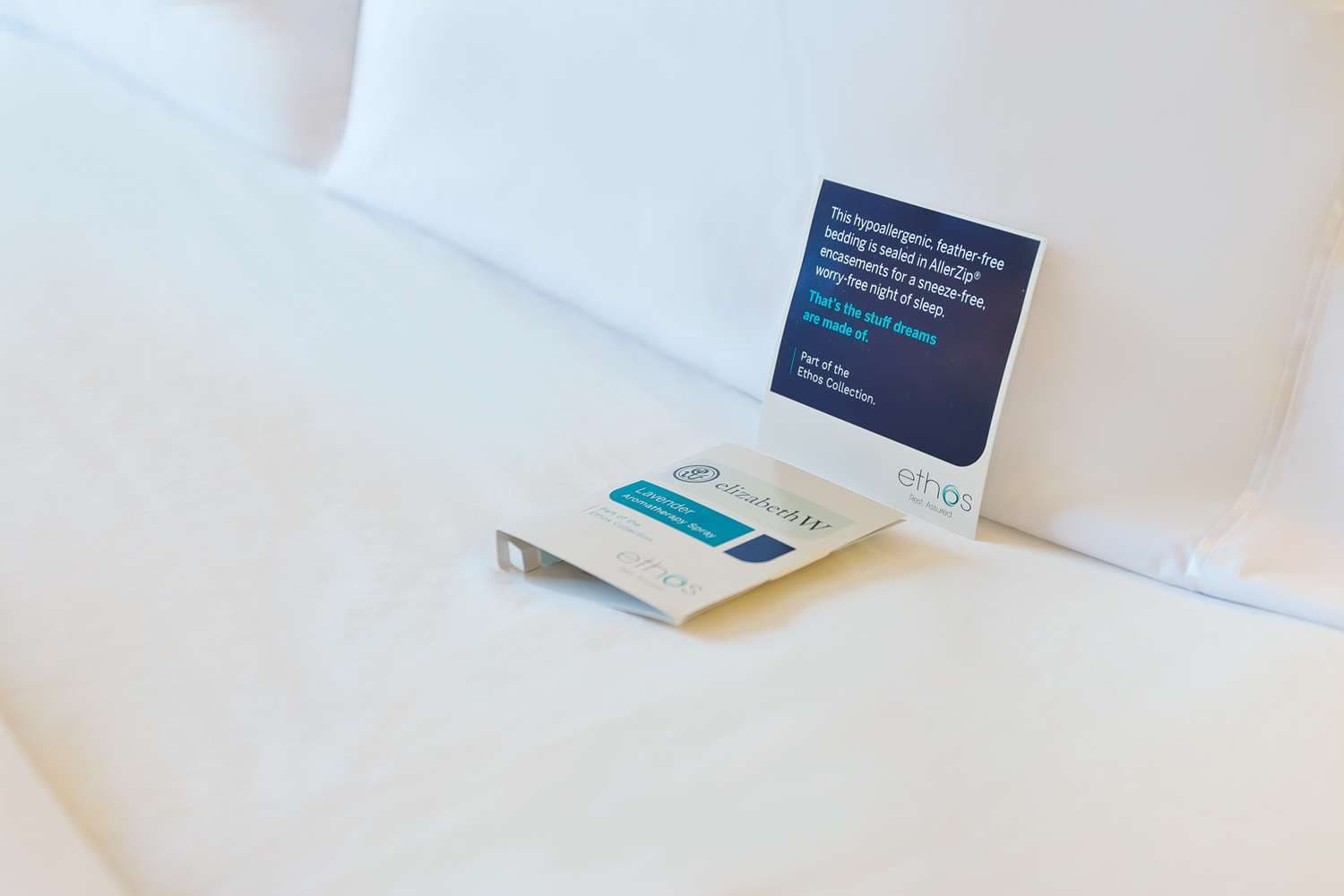 Hilton Charlotte Airport Hotel