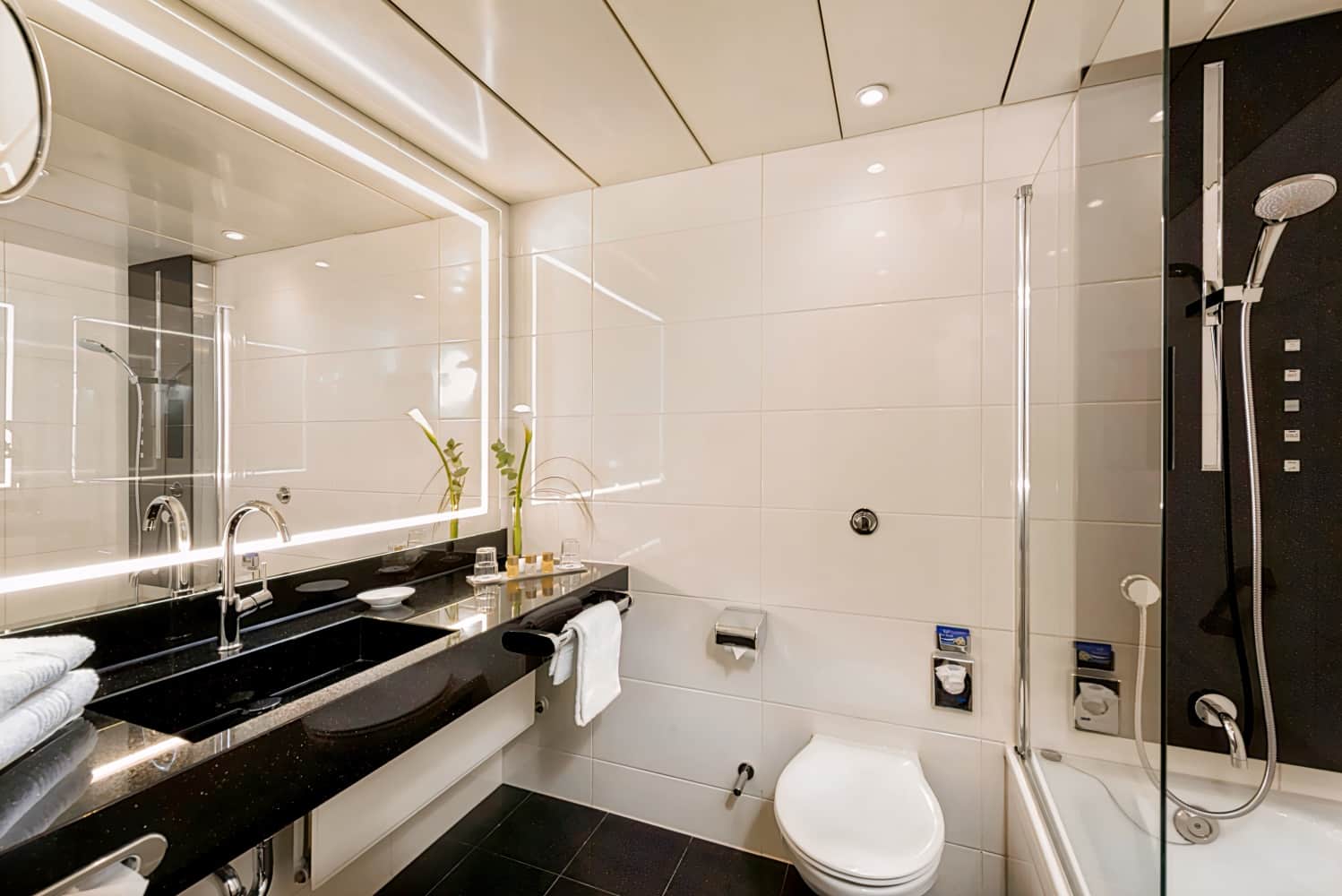 Maritim Hotel Bonn