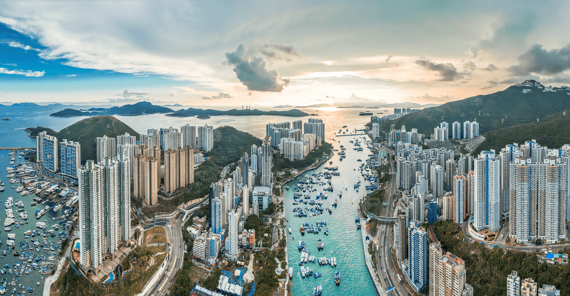 South Nest