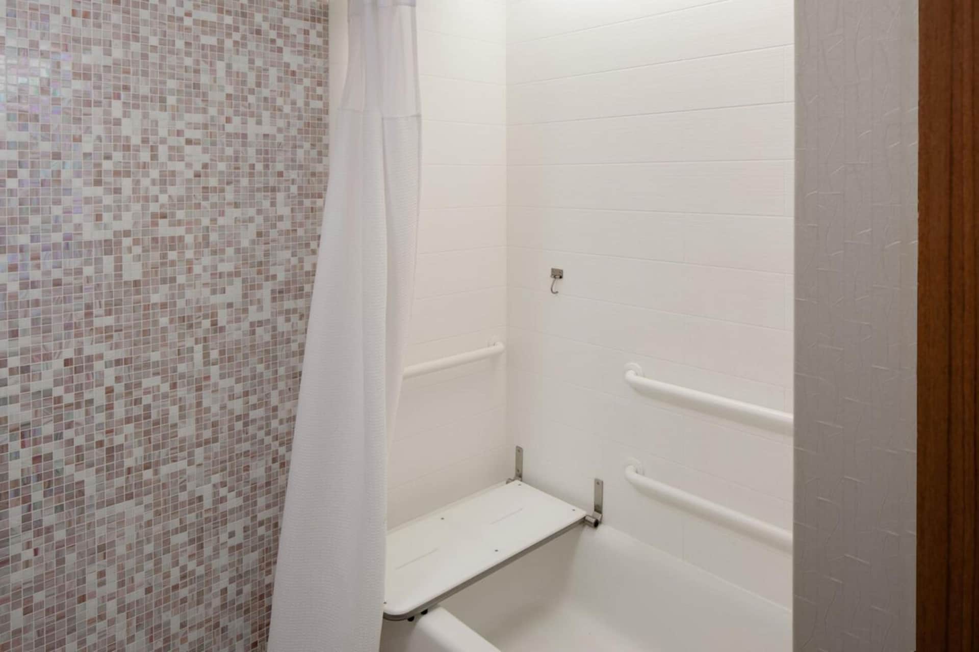 Springhill Suites by Marriott Detroit Metro Airport Romulus